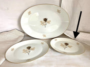 ROSENTHAL oval platter "Shadow Rose" 1960s-vintage-Rosenthal dinnerware-SweetAntik