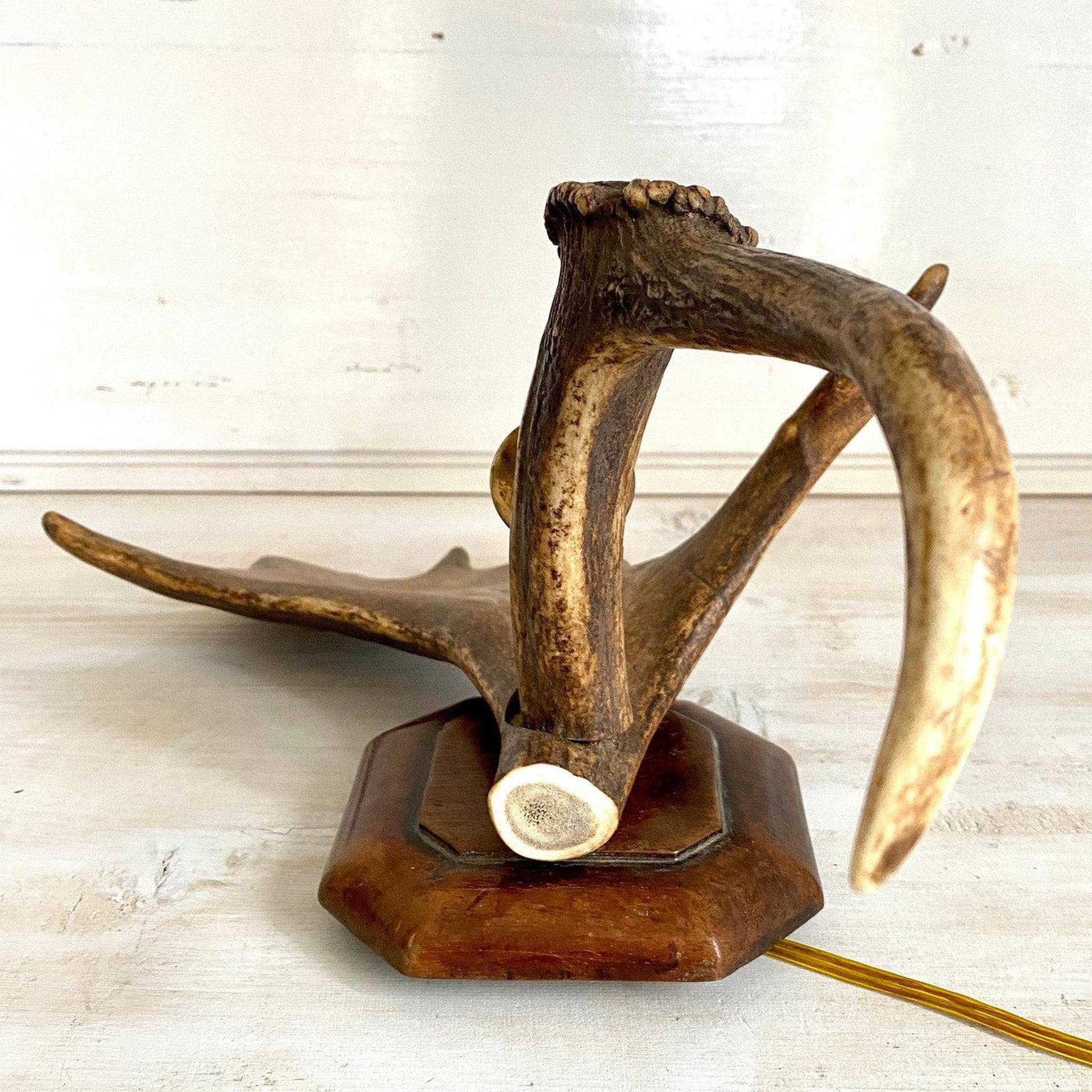 Geweih Wandlampe Vintage Landhaus Wand Beleuchtung, 50er
