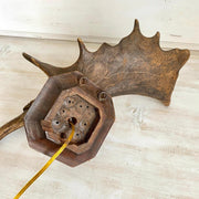 Geweih Wandlampe Vintage Landhaus Wand Beleuchtung, 50er