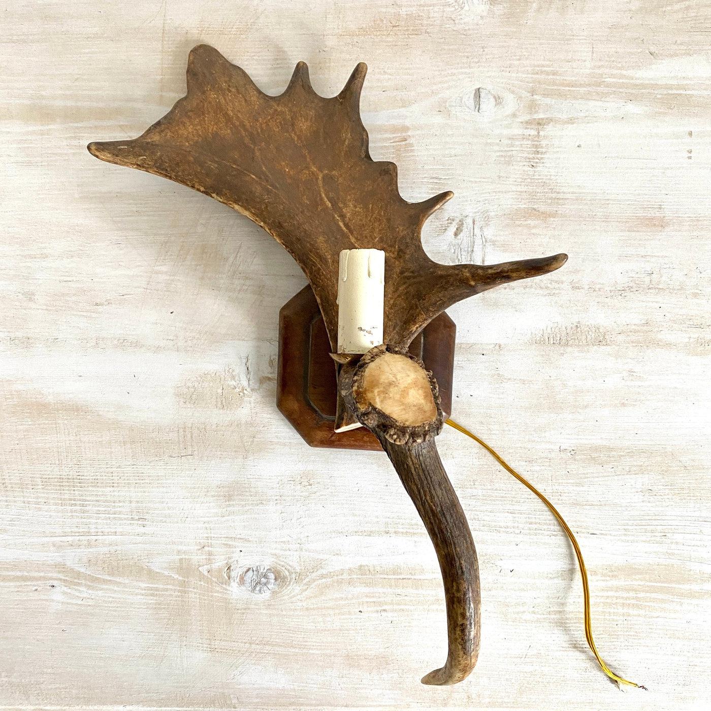 Vintage fallow deer antler sconce wall lamp-Sweet Antik