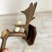 Vintage fallow deer antler sconce wall lamp-Sweet Antik