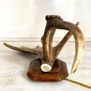 Vintage fallow deer antler sconce wall lamp-Sweet Antik