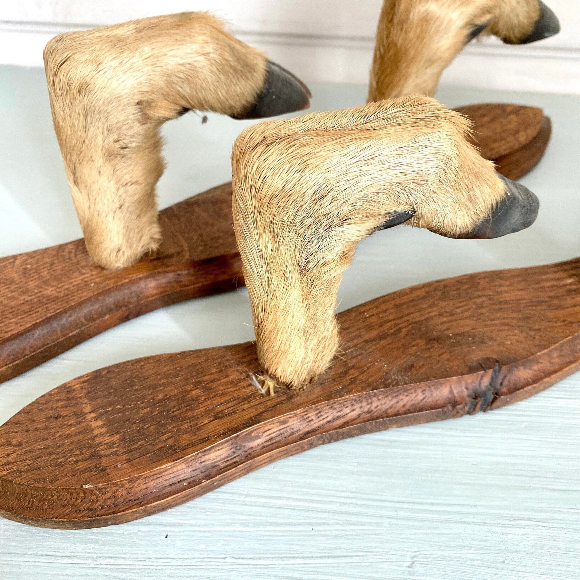 sweetantik-French gun racks deer hoof feet coat hat hooks hunting lodge decor-Sweet Antik