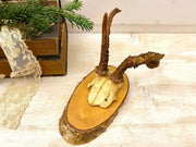 Geweih Rehgeweih abnorm Holzplatte