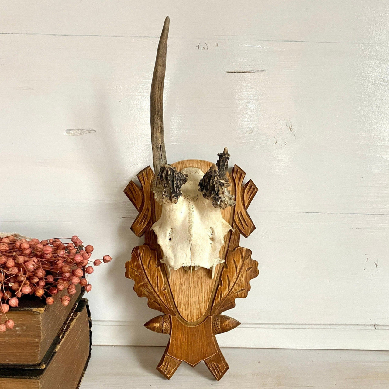 Rehgeweih abnorm Vintage Jagdtrophäe auf geschnitzter Holzplatte