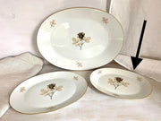 Rosenthal Schattenrose Fleischplatte Servierplatte oval cm 21x28