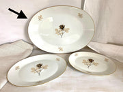 Rosenthal Schattenrose Servierplatte Fleischplatte cm 44x33, 60er
