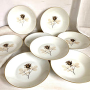 Rosenthal Schattenrose Suppenteller Form 2000, 60er