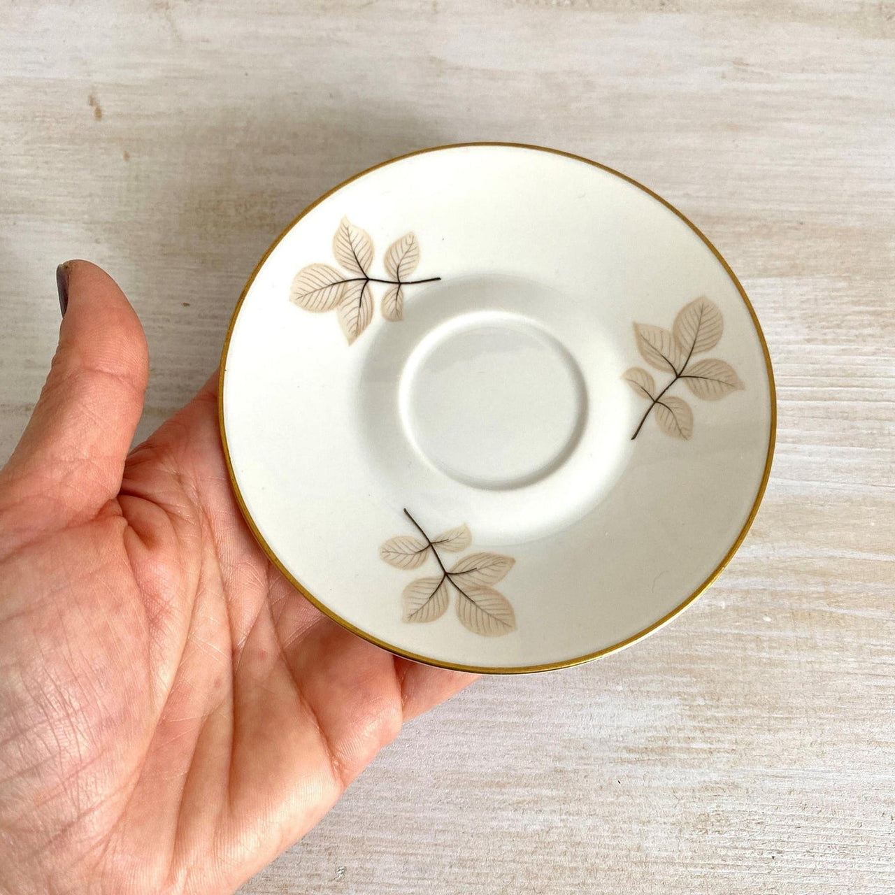 Rosenthal Schattenrose Untertasse für Kaffeetasse Form 2000
