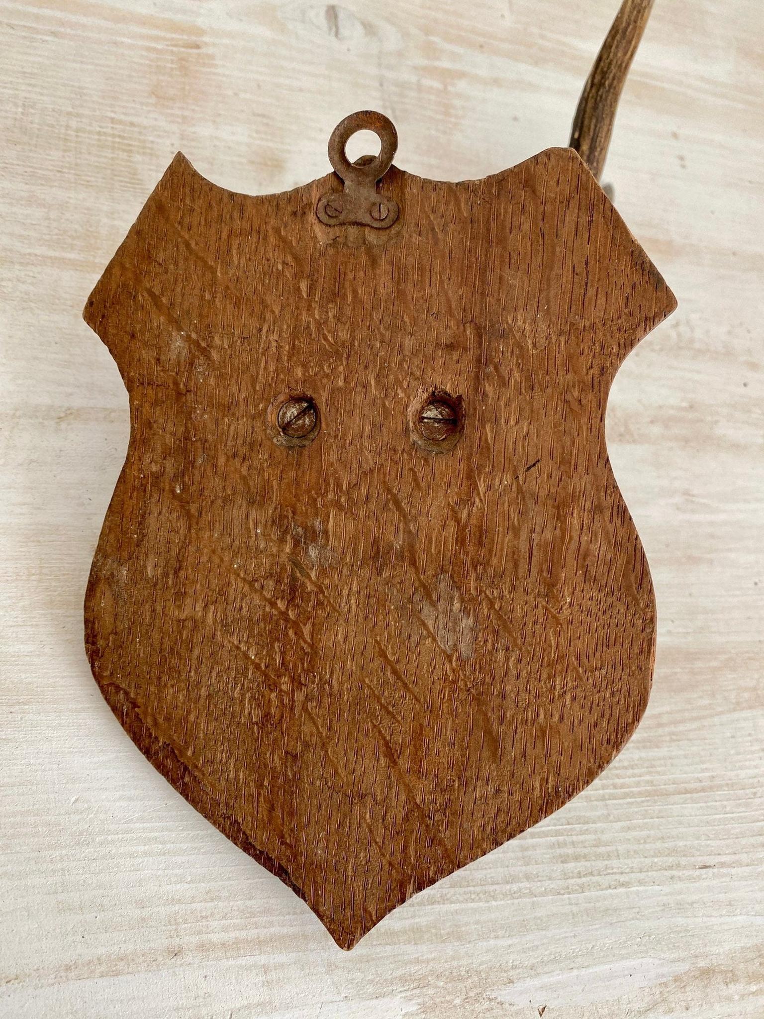 Vintage Rehgeweih Jagdtrophäe Holzplatte Geweih