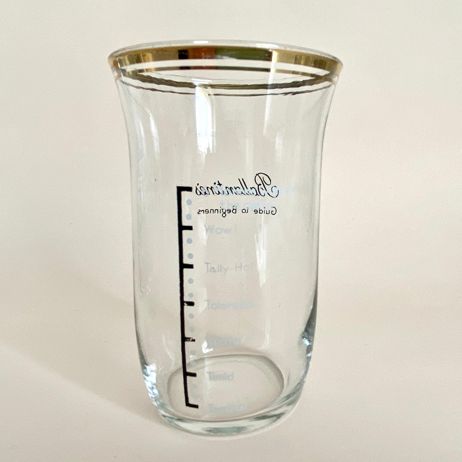 Vintage Ballantines whiskey glass set "Guide to Beginners", 1950s long drink tumblers-Sweet Antik