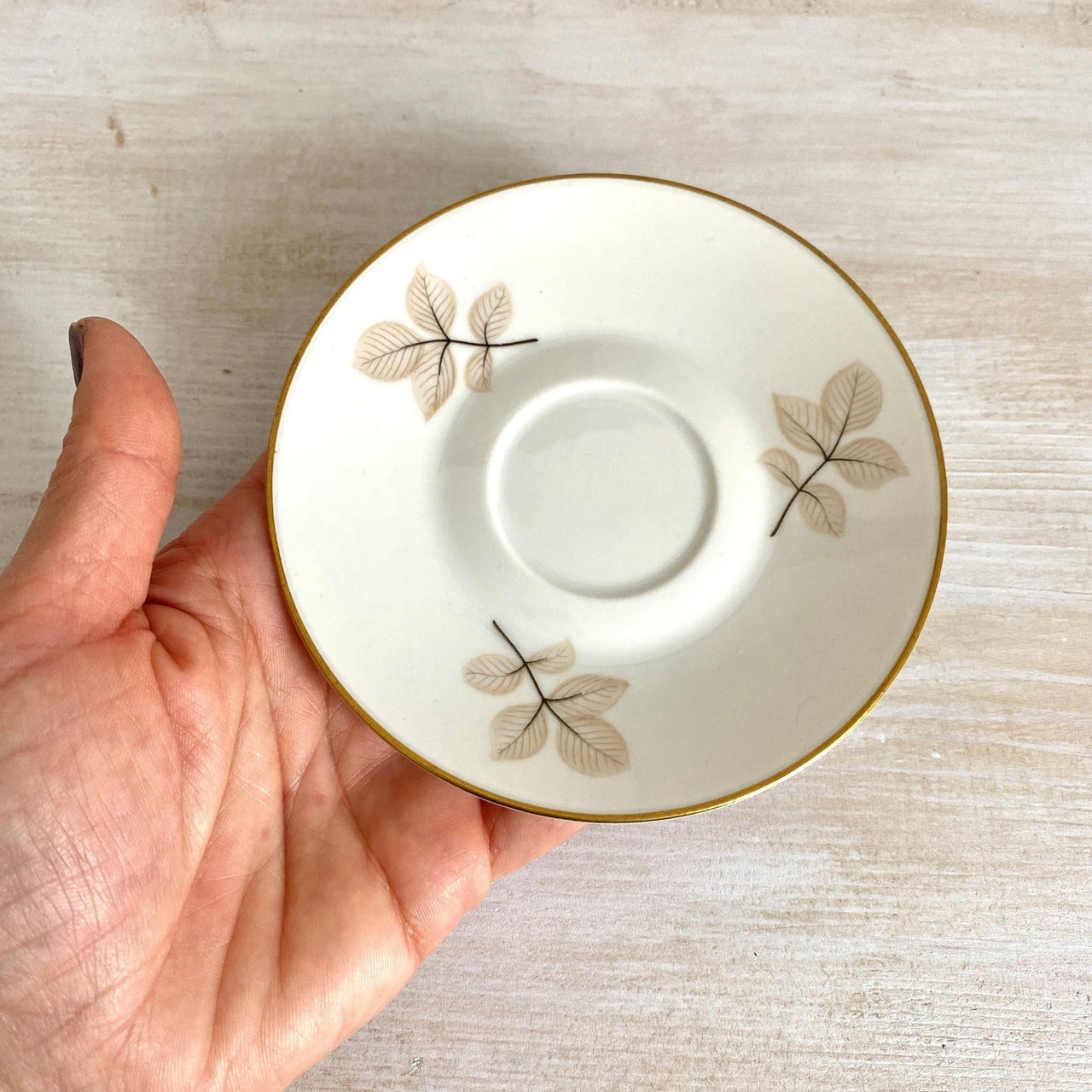 ROSENTHAL "Shadow Rose" replacement saucer for coffee cup-vintage-Rosenthal dinnerware-SweetAntik