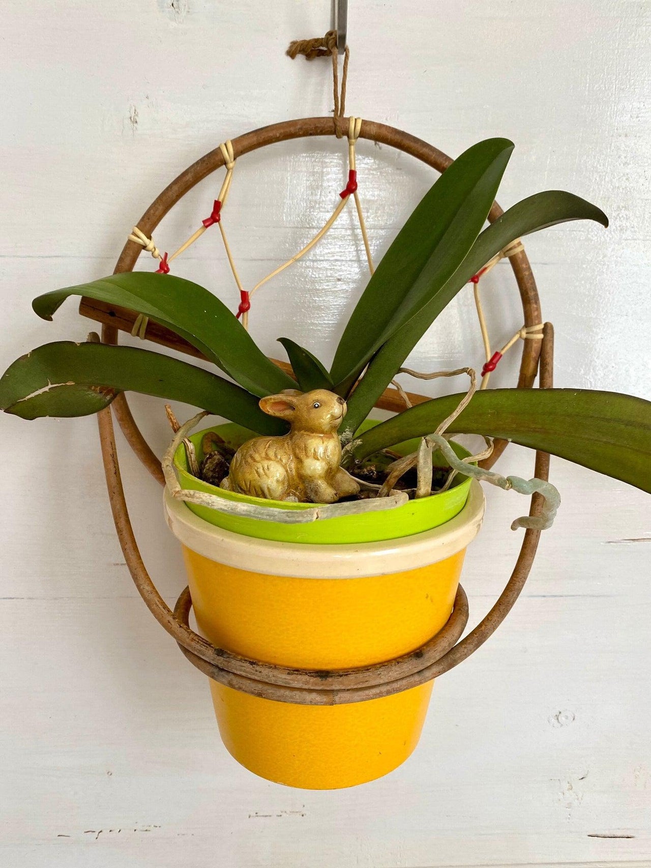 vintage Mid century bamboo wall plant holder, 1950s - Sweet Antik